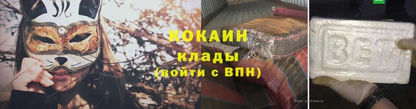 сатива Арсеньев