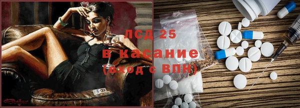 сатива Арсеньев