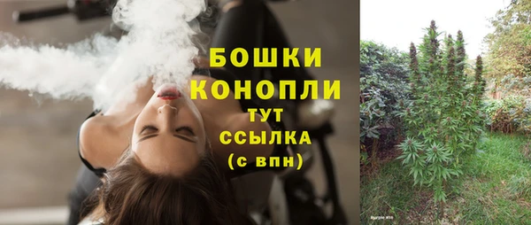 spice Армянск